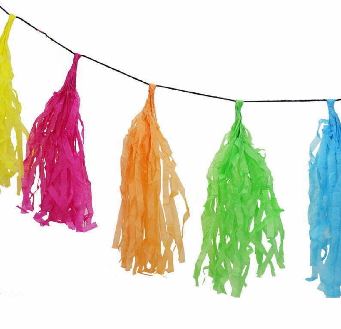 3m Multicoloured Tassel Garland