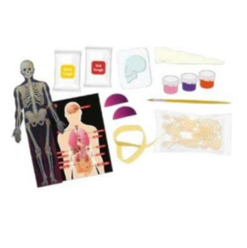 Body and Bones Science Kit