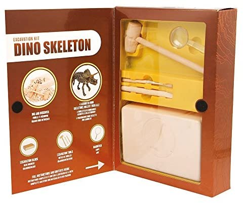 Dinosaur Skeleton Excavation Kit