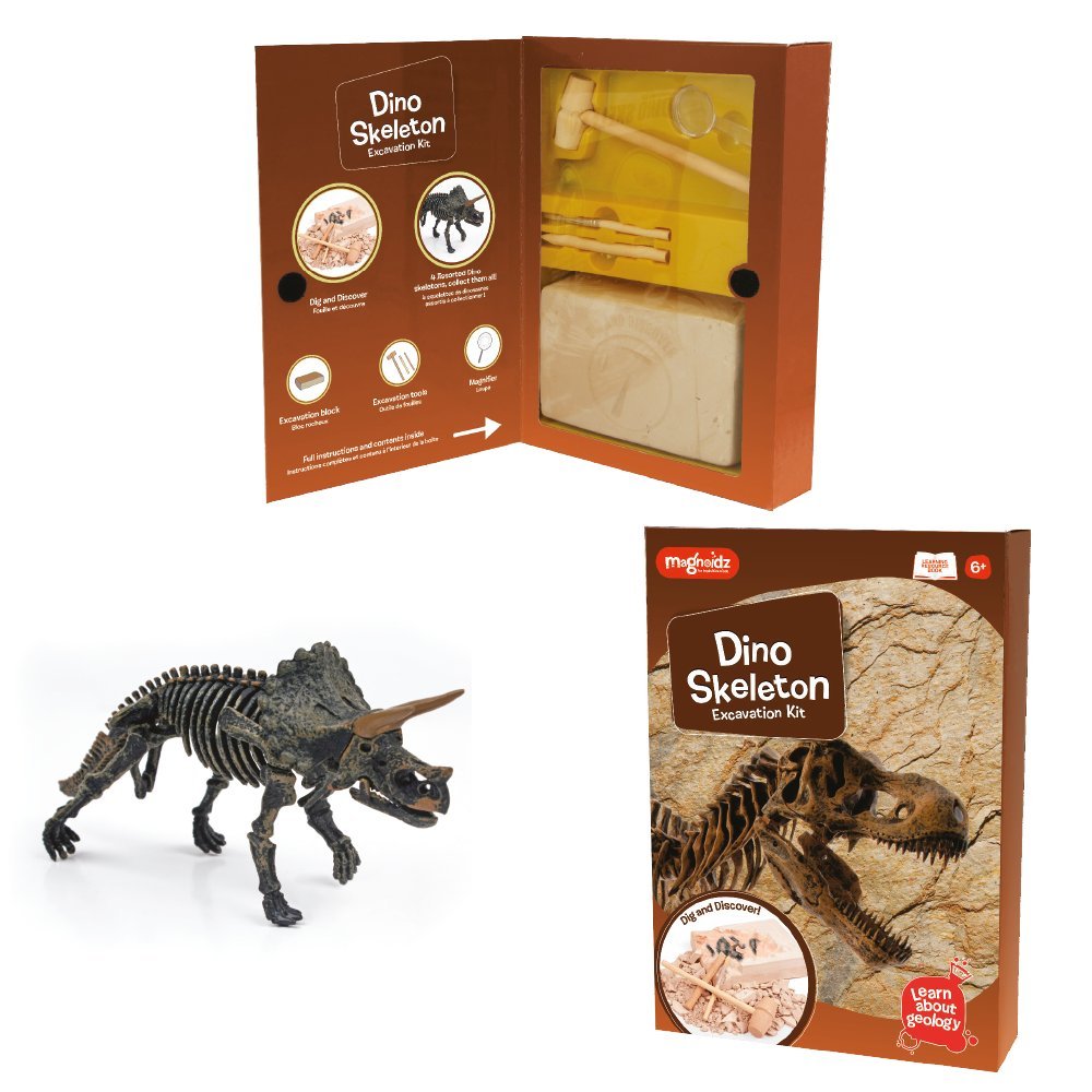 Dinosaur Skeleton Excavation Kit