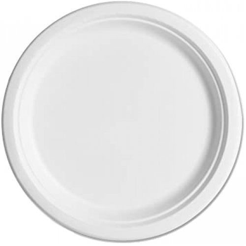 Sugarcane Lunch Plates | White