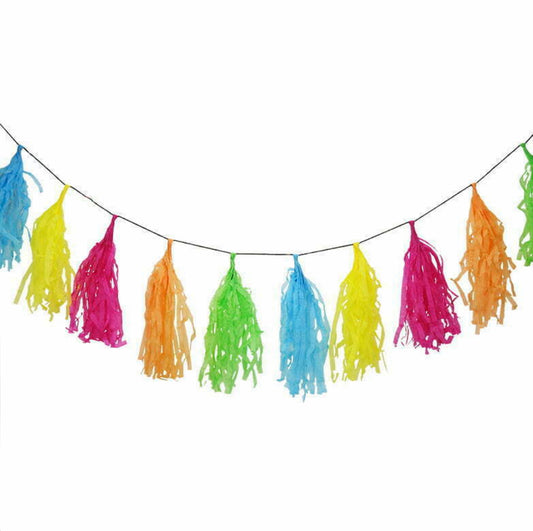 3m Multicoloured Tassel Garland